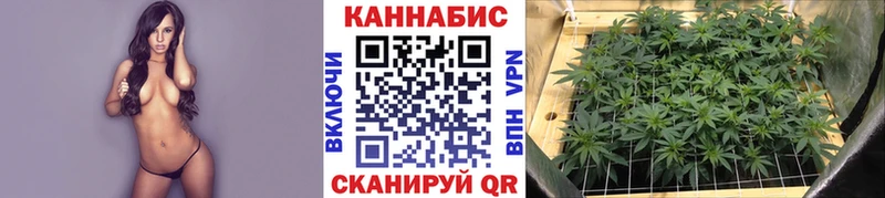 Шишки марихуана планчик  Соликамск 